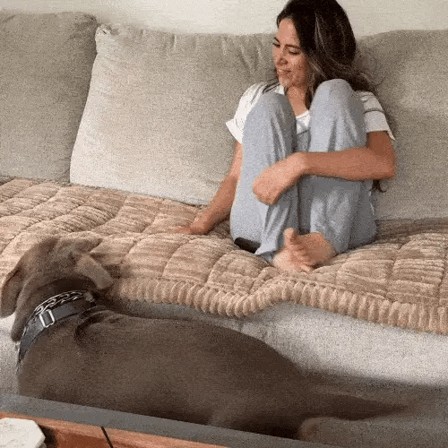 🔥Last Day 60% OFF🎁Cosy Plush Pet Seat Sofa Cover